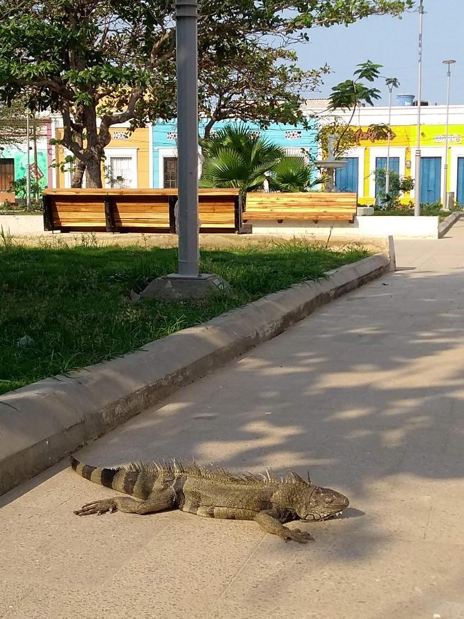 El Habitante Casa Cultural & Hostal Ciénaga Zewnętrze zdjęcie